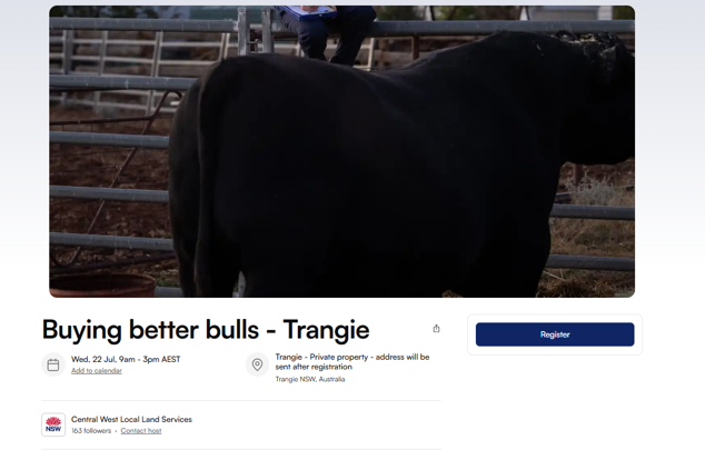 Buying Better Bulls